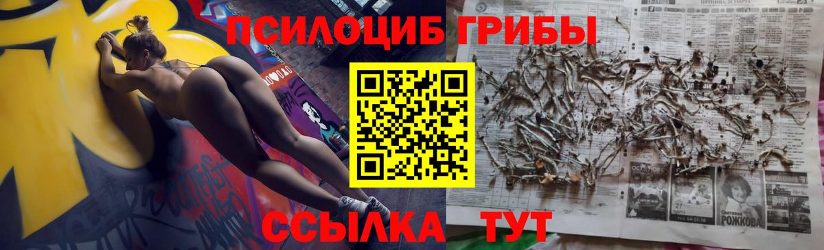 Тимашёвск  Галлюциногенные грибы мухоморы  Вход с VPN 